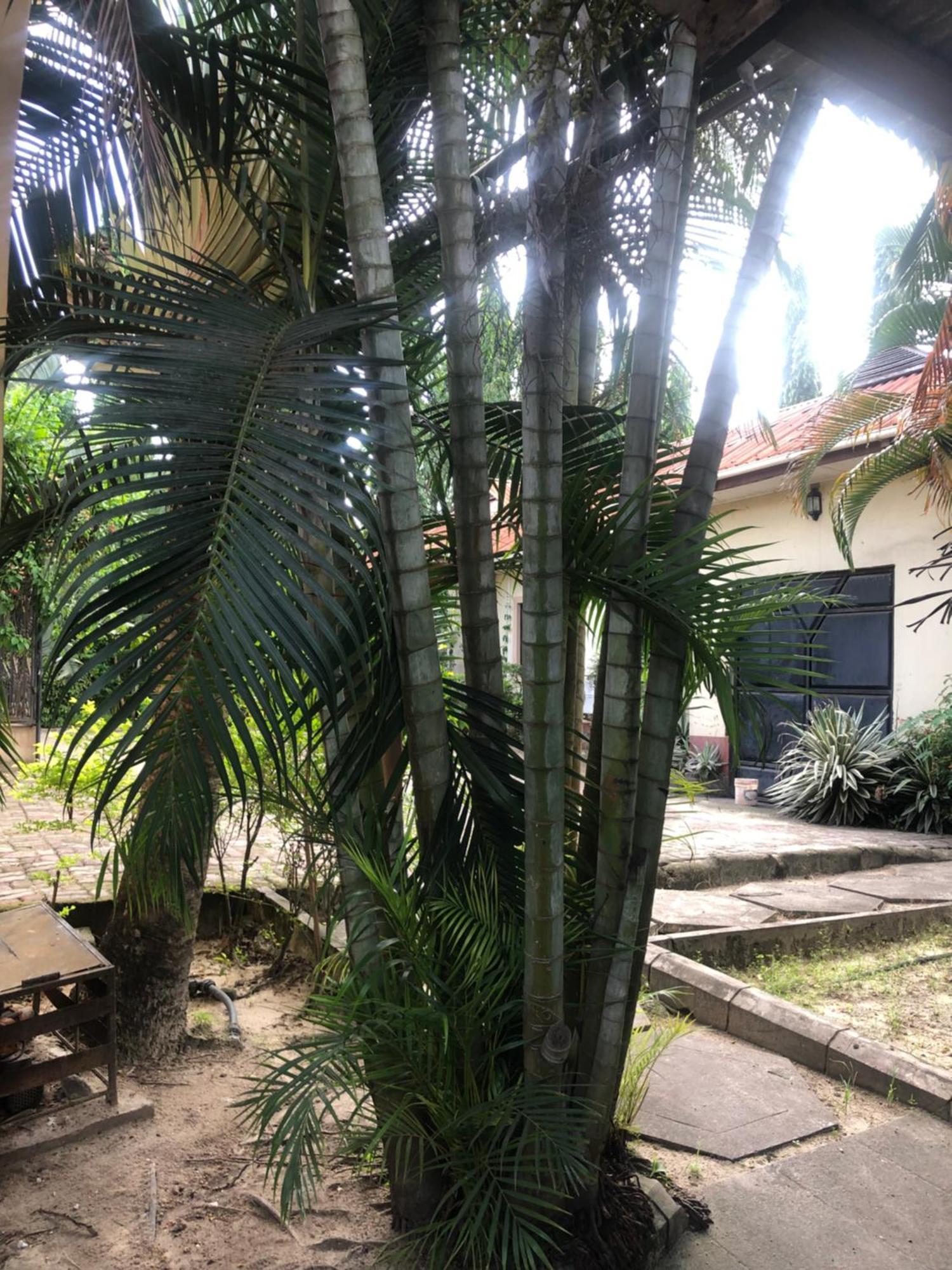 Tatys Homestay Darüsselam Dış mekan fotoğraf